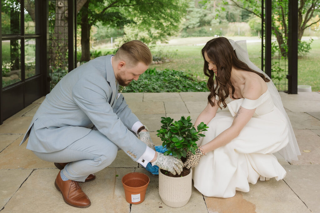 Rytuał w ślubie humanistycznym sadzenie wspólnej rośliny